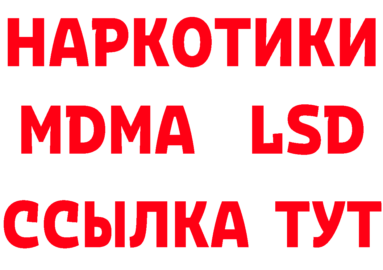 Альфа ПВП СК ТОР площадка МЕГА Зеленогорск